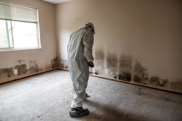 Best Biohazard Mold Removal  in Lincoln Park, NY